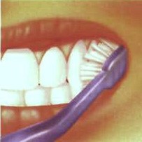 tooth3